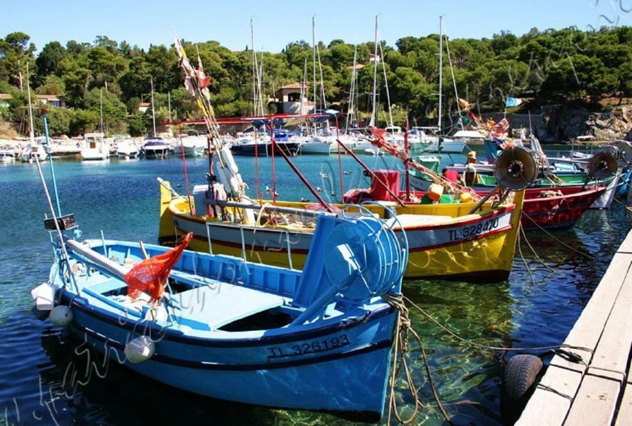 Magnifique Parc de la Presqu'île avec Piscine et Plage face à Porquerolles ! Hyères Esterno foto