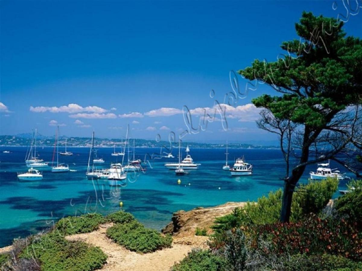 Magnifique Parc de la Presqu'île avec Piscine et Plage face à Porquerolles ! Hyères Esterno foto