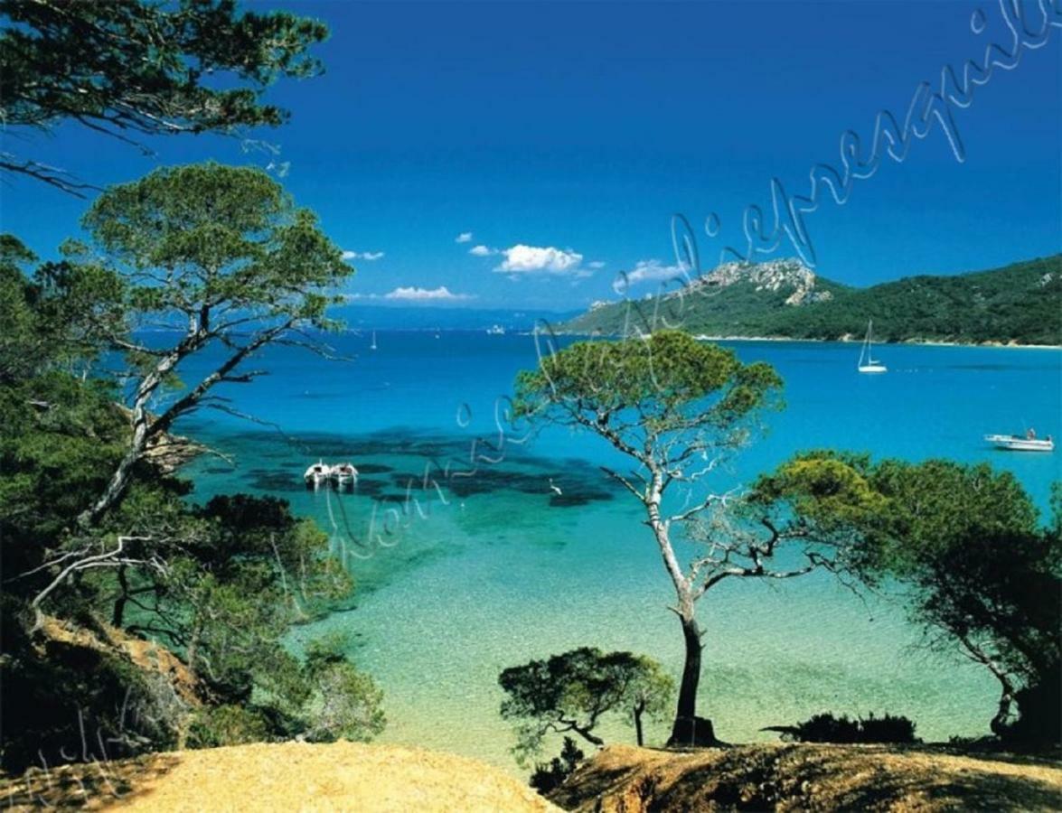 Magnifique Parc de la Presqu'île avec Piscine et Plage face à Porquerolles ! Hyères Esterno foto