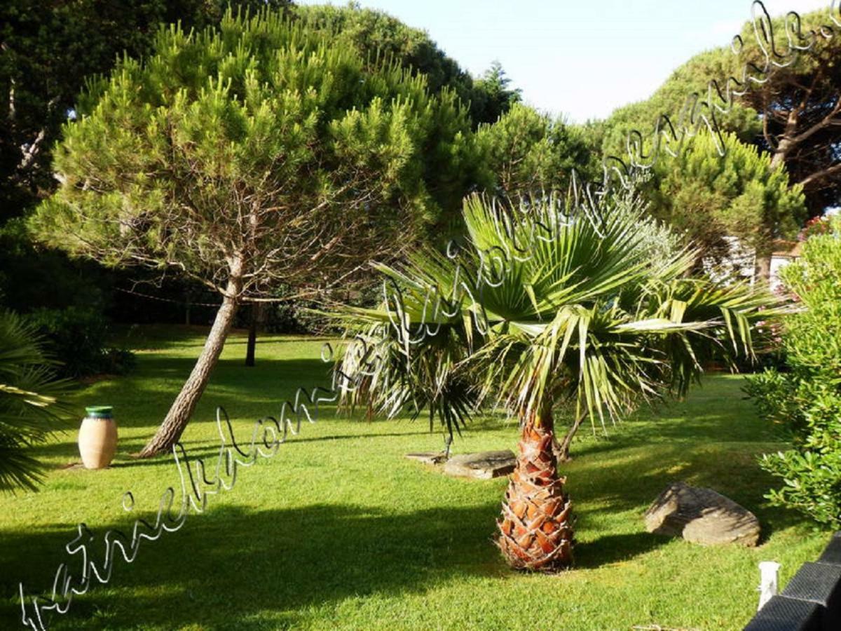 Magnifique Parc de la Presqu'île avec Piscine et Plage face à Porquerolles ! Hyères Esterno foto